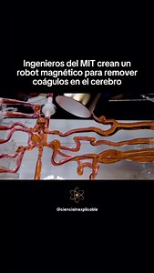 🤖🧠 Un robot gusano capaz de entrar al cerebro humano En 2019, ingenieros del MIT desarrollaron un robot magnético en forma de hilo capaz de navegar por los vasos sanguíneos del cerebro. Su objetivo: remover coágulos y tratar aneurismas con precisión milimétrica. Guiado a distancia con campos magnéticos, promete reducir riesgos, evitar radiación para los médicos y hasta permitir cirugías en lugares remotos. 👁️ Una tecnología que parece de ciencia ficción… pero ya es real. 📕 En Lo Inexplicable