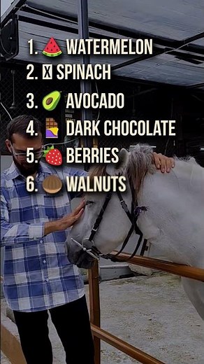 Top 10 Best Foods for Erectile Dysfunction | Natural Performance Boost | Heal 360