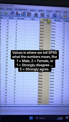 What is variable view in SPSS? ‪@researchbypiumsha‬ #phdstudents #spsstutorial