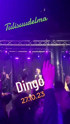 Live Music Performance by Tullusidelema at Dingo