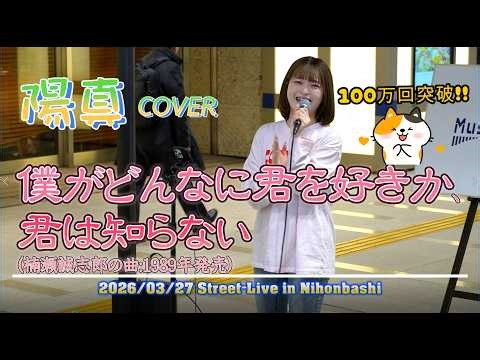 聴かない人は損している！！「僕がどんなに君を好きか、君は知らない」楠瀬誠志郎 1989年 COVER 陽真(hima) Street-Live 2026/03/27 in 日本橋