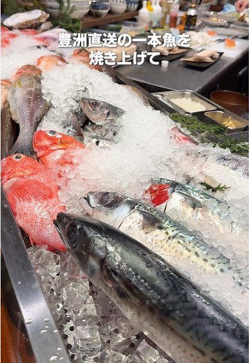 新百合ヶ丘で楽しむ美味しいディナー