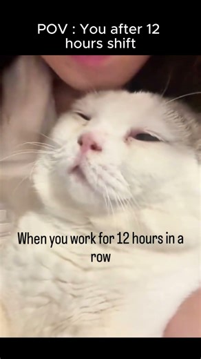 I hope this lil baby is doing okay😢 #cats #funny #meow