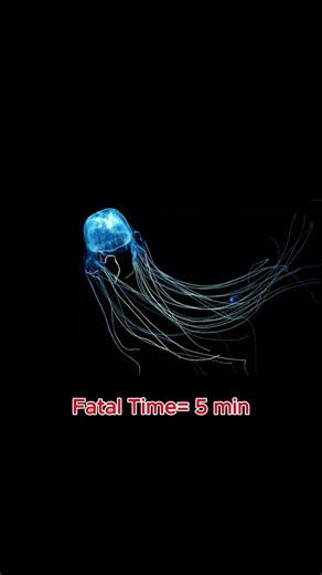 Venomous Creatures Edit. #edit #venom #poison #animals #biology #scary #cooledit #shorts