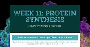 Week 11: Protein Synthesis
