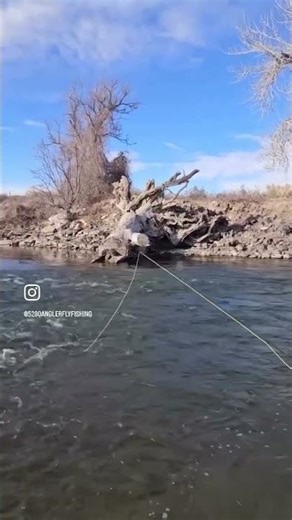 Winter Fly Fishing on the Arkansas River with 5280 Angler