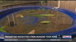 Tips for fighting those pesky mosquitoes