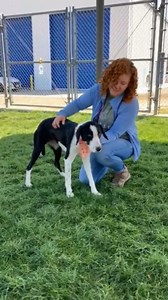 5.9K views · 169 reactions | DOROTHY needs out of the shelter NOW....