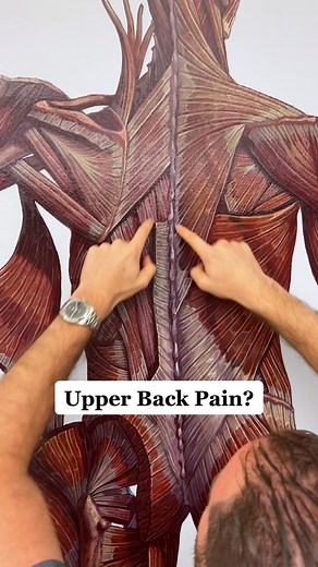 Effective Upper Back Pain Stretch for Quick Relief