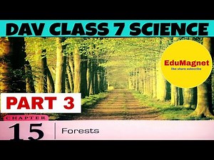 DAV CLASS 7 SCIENCE CHAPTER 15 FORESTS|| EXPLANATION PART 3