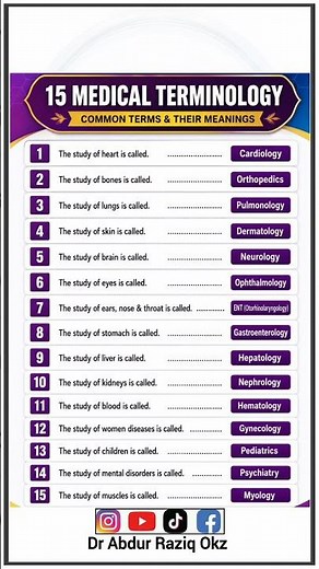 15 Essential Medical Terminology Every Healthcare Student Should