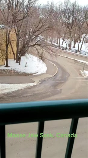 krazydad48 on TikTok