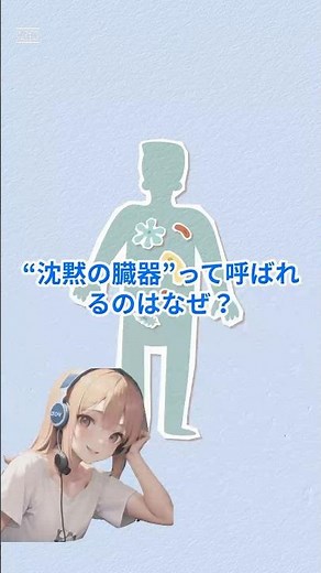 【国家試験対策】肝臓の構造と主な役割を1分でマスター！