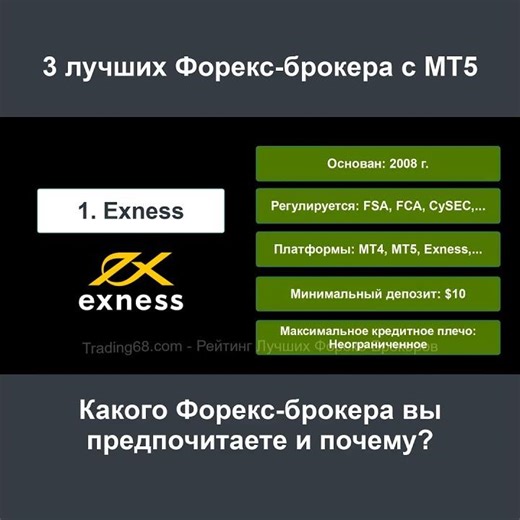3 Лучших Форекс Брокера MT5 | Рейтинг Топ Форекс Брокеров [0508]