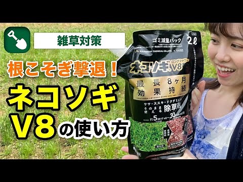 ネコソギV8【雑草対策｜除草剤】カインズおすすめネコソギV8の使い方｜そのまま撒けるエコパック