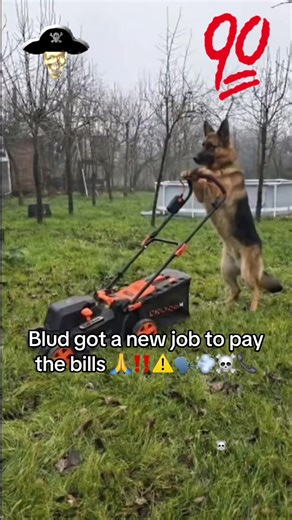 Blud's New Job: How to Handle Bill Collectors