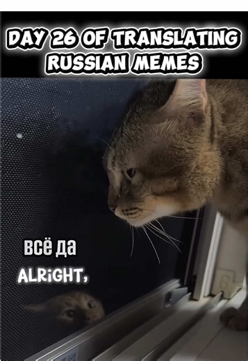 Humorous Russian Moments That Will Make You Laugh