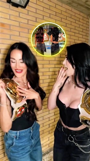 Brie Bella and Paige LOST This Privilege in WWE