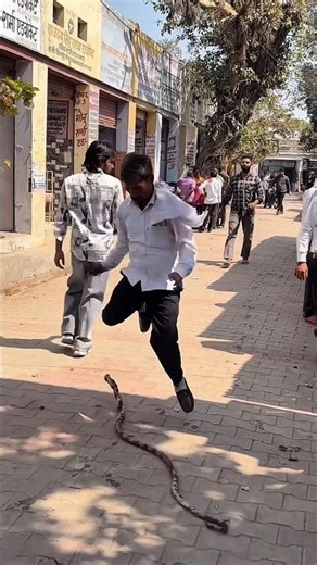 Snake Prank Part 4🐍😭 #snakeprank #shortfeed #shorts #funny #reaction