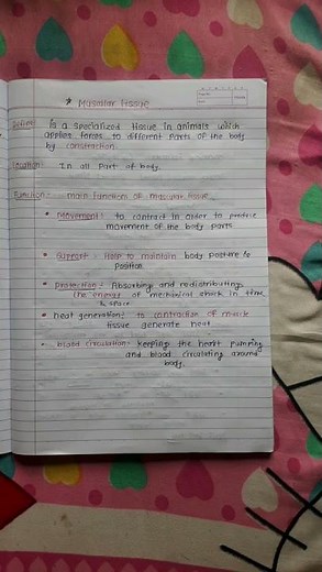 Function of epithelial tissue function of muscular tissue| function of nervous & connective tissue.