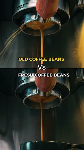 Fresh beans = better espresso. Here’s why 👇