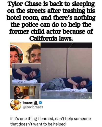 Pop Culture Memes Culture Viral News on Instagram: "Tylor Chase is back to happily sleeping on the streets after trashing his hotel room, and there’s nothing the police can do to help the former child actor because of California laws."