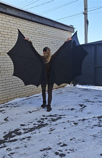 Black Wings, Bat Cape, Gothic Black Wings, Bat Dress, Halloween Cosplay, Black Angel Wings, Transparent Bat Wings, Demon's Cloak With Wings - Etsy
