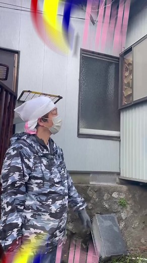 ハクビシン対策と糞清掃作業の手順