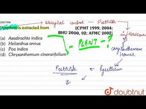 Pyrethrin is extracted from | 12 | BIOENERGY, BIOFERTILIZERS AND BIOLOGICAL PEST CONTROL | BIOL...
