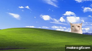 1 Hour Cat eating a chips in the Windows XP wallpaper FULLSCREEN on Make a GIF