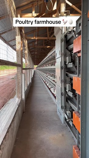 Discover the Charm of Modern Poultry Farming on a Small Business Farm