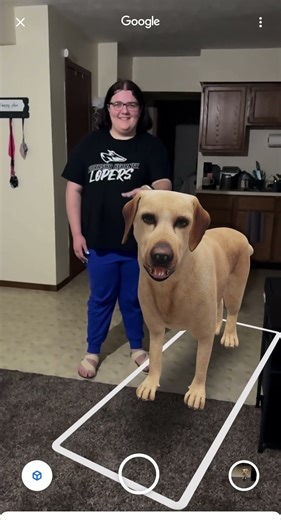 TE 206 Google AR Module 8