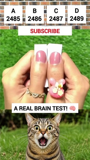 🧠 A REAL BRAIN TEST! Can You Guess The Right Answer? 🤯