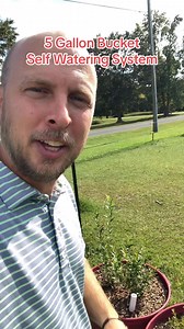 Self watering system in 5 gallon buckets. if you can’t find mineral tubs do this! #bucket #food #growyourownfood #growyourown #fruit #veggie #water #plant #plants #garden #gardentipsandtricks #gardening #containergardening | Salty Acres