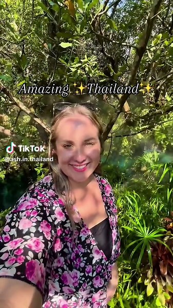 Explore Amazing Thailand: A Journey Through Chiang Mai