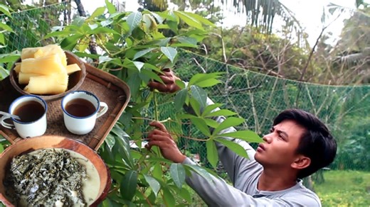 How cassava leaves become a delicious traditional dish