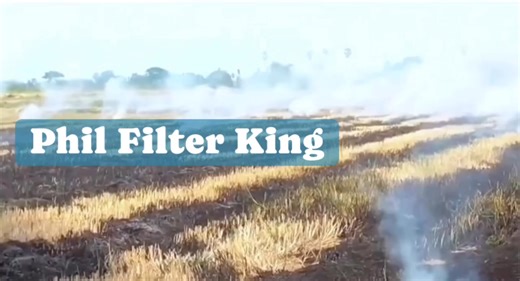 In 🇹🇭 Thailand, farm paddy straw processing mode! Let's see how Thailand's main fragrant rice-producing area deals with straw. The last model some country local governoment is not allowed, but their farmers do it like this. #agricultureworldwide #agriculturenews #agriculturelife #technology #manufacturer #trendingpost #facebookviral #fbpost #success #reelsirals : #reelsfb #reelsfyp*#viralreels #viralreelsfb #reelstrending #reelsviral #newtechnology #farming #supportlocal #viralreels #trendingn