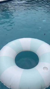 103K views · 164 reactions | Pump it up  Shop this portable air pump: https://amazonhome.visitlink.me/ZMyyj6 | Amazon Home | Facebook