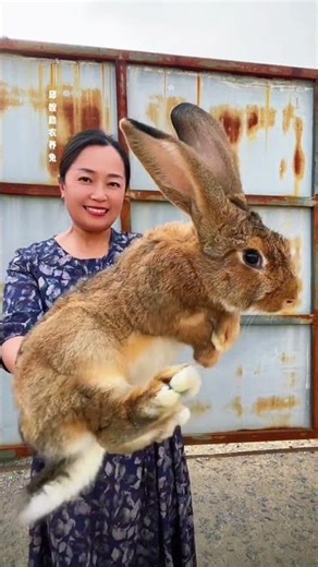 Revolutionize Farming: The Ultimate Guide to Rabbit Breeding for New Farmers