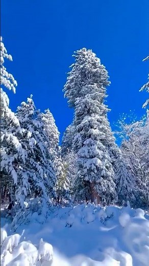 Breathtaking Winter Paradise - 4K Snow Mountains & Blue River Scenery