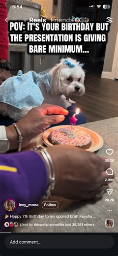 Keysha's Hilarious Reaction to Basic Cake
