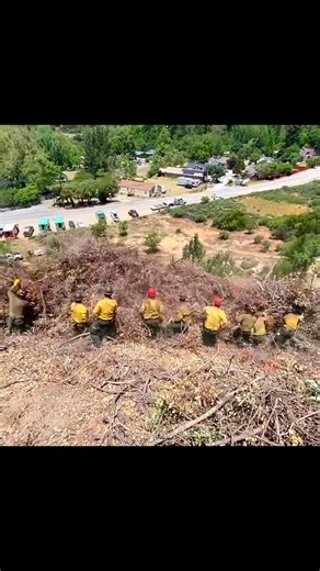 Big Bear 🐻 Hotshots 2025 I'm trying to highlight one crew a day, Today it was Big Bear 🐻 #fyp #firefighting #firefighters | My Wildfire World