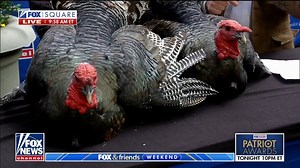 Flying free! Fox & Friends Weekend hosts celebrate their first-ever turkey pardoning live on air. | Fox & Friends