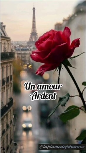 Roman Douce Obsession #romanticsuspense #bookstagramfrance