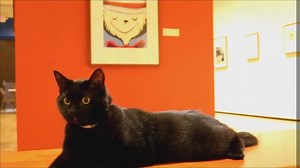 6.7K views · 111 reactions | We hosted a special feline critic prior to the opening of our Cats in Hats exhibit this week. The official review? It's the cat's meow! The new exhibit features over 40 pieces by the Western Massachusetts Illustrators' Guild as well as an interactive kids area. | Springfield Museums | Facebook