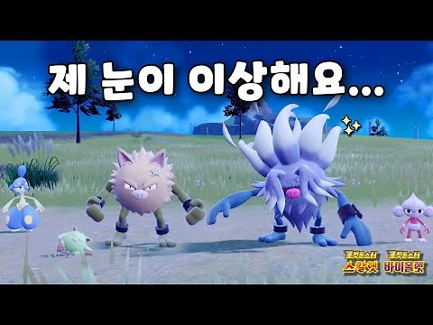 저숭갓숭 잡다가 내 눈이 저승갓숭 l 포켓몬스터 스칼렛 바이올렛 이로치 헌팅
