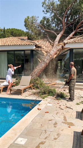 Tree Cutting Disaster: Tree Falls on House
