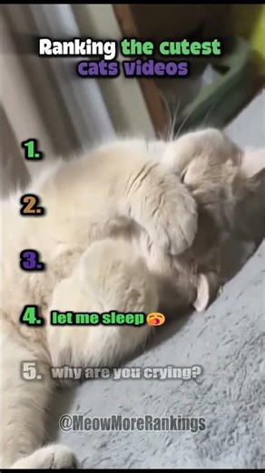 🥹🐱 Ranking the Cutest Cats Ever! #catvideos #cat #cutecats
