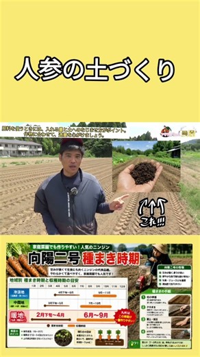 🥕 【農家直伝】人参の種まきは土づくりが命！大きく育てる土の作り方 #農業 #再生栽培 #家庭菜園 #造種生基 #capcut #有機模式 #ガーデニング #現代農業 #農業女子 #畑