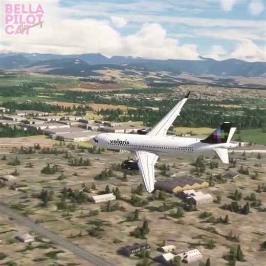 The Most Detailed Flight Sim Graphics You've Ever Seen #aviation #simulation